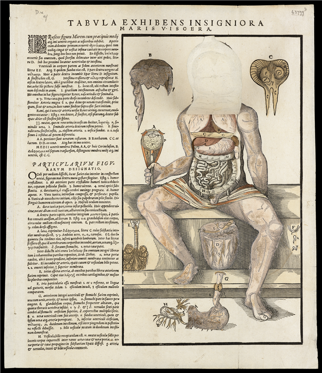 Anonymous (published in Wittenberg), ‘Flap Anatomy’ of a Male Figure (1573). Woodcut. Wellcome Library, London
