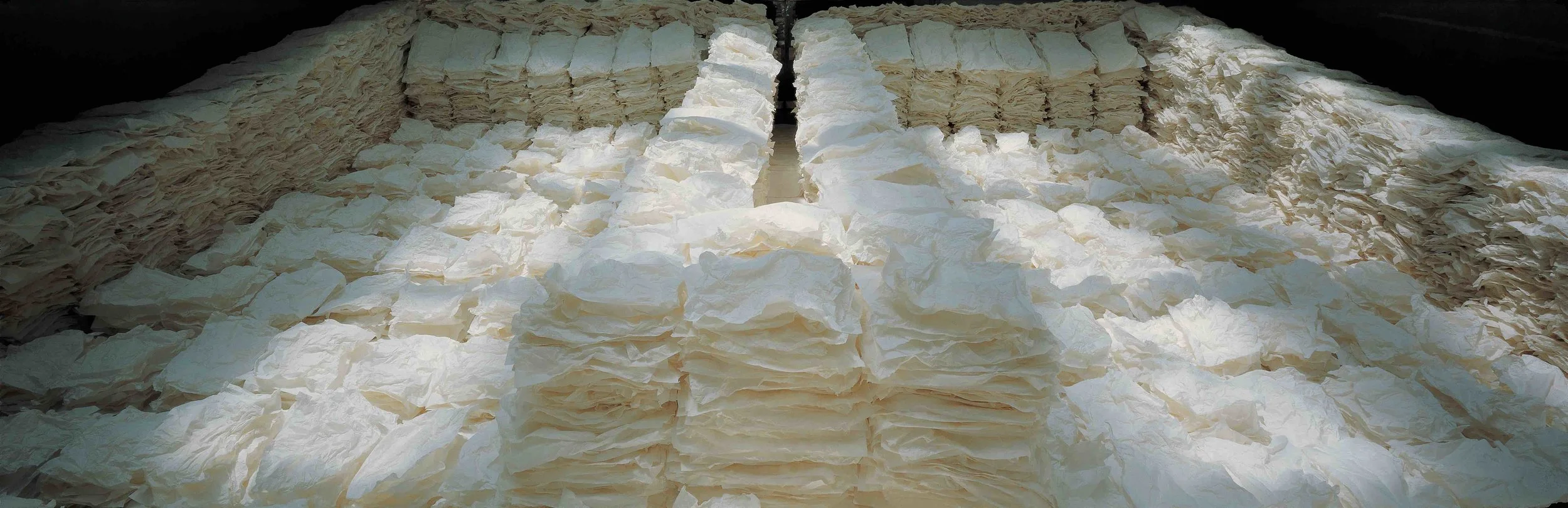 Wuchang (1996). Xuan paper, Song dynasty bowl, water, white gourd. 无常-北京