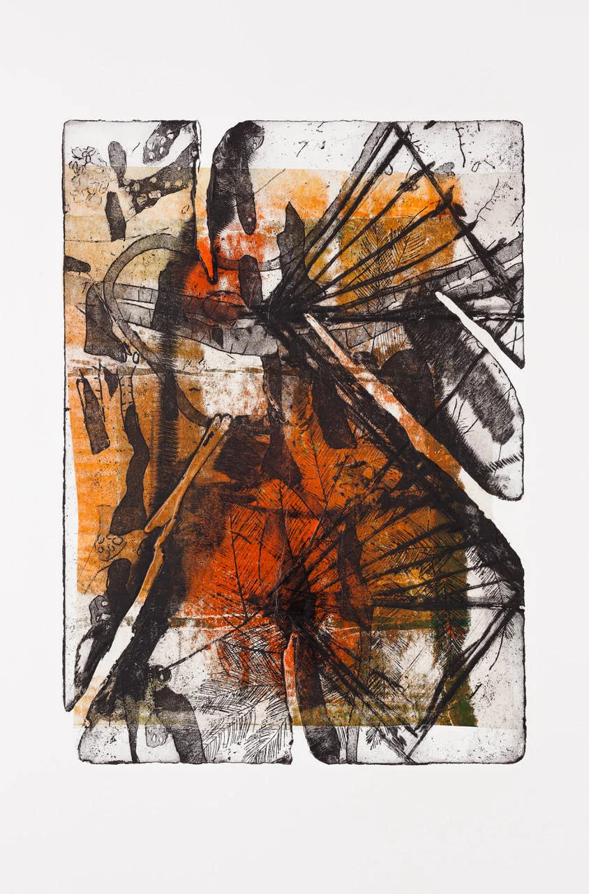 Print from new series in progress, made at Eureka Reef Gold Diggings, Castlemaine, Victoria, Australia (2018). Photo by David Bennett