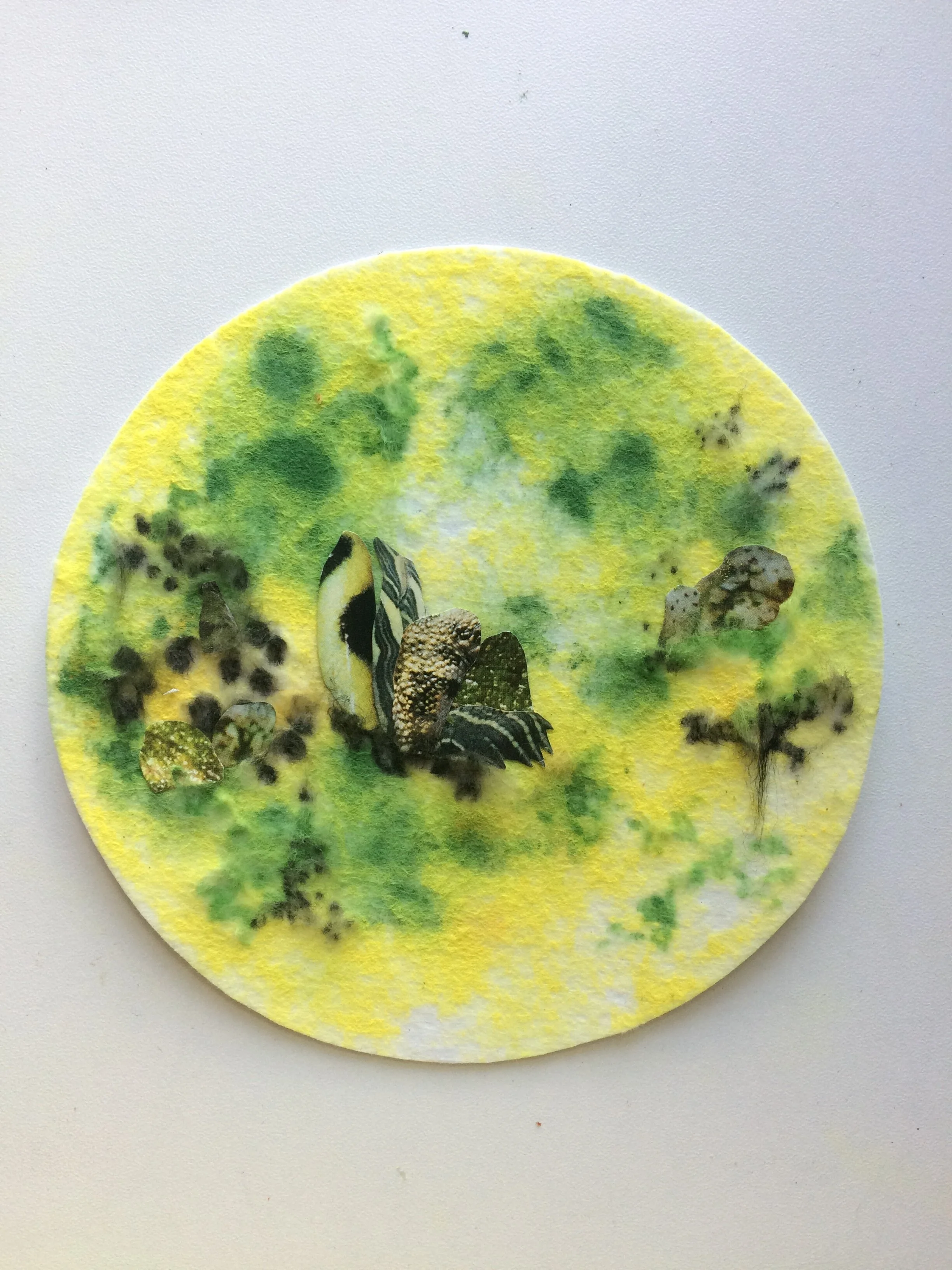 New work-in-process inspired by Palissy ware, 2020, Ruby Tingle