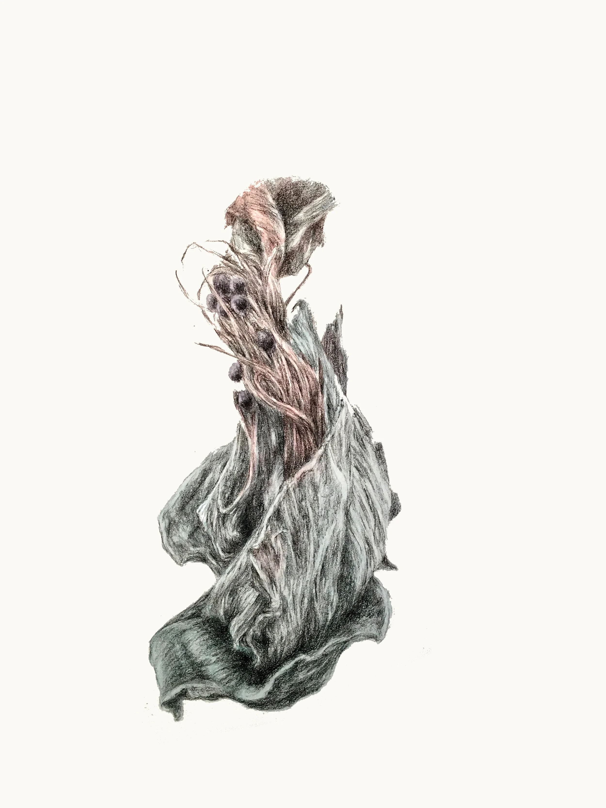 Rachel Goodyear, Study 2, May 2020