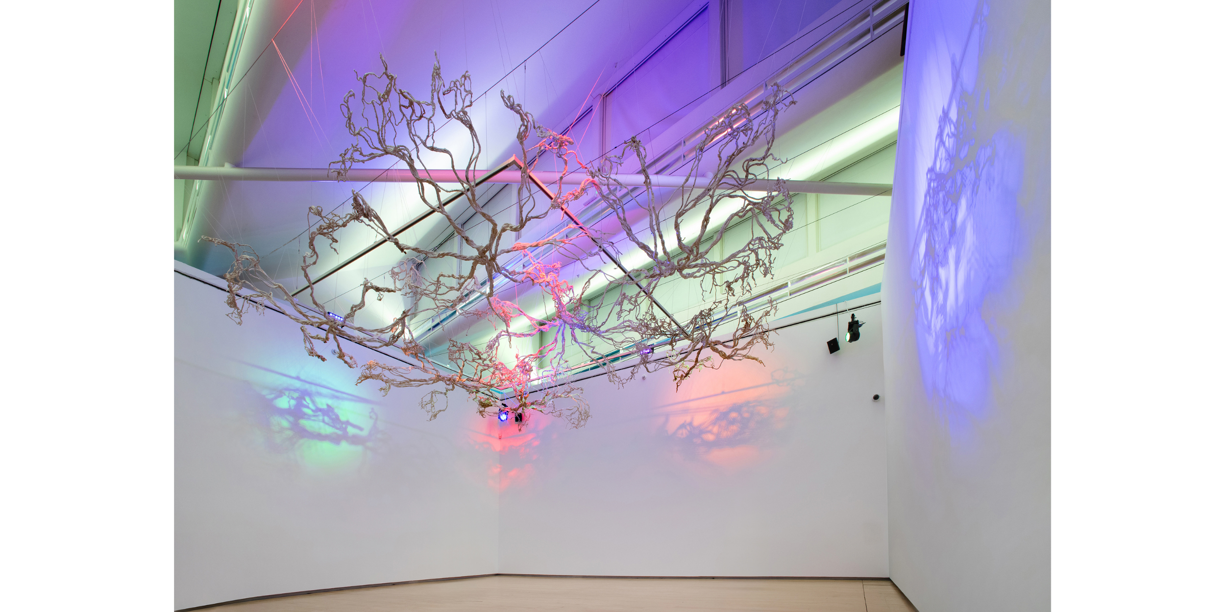 The Guardians main l.png