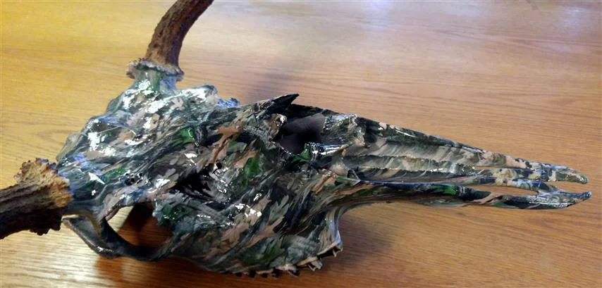 moose-skull.jpg