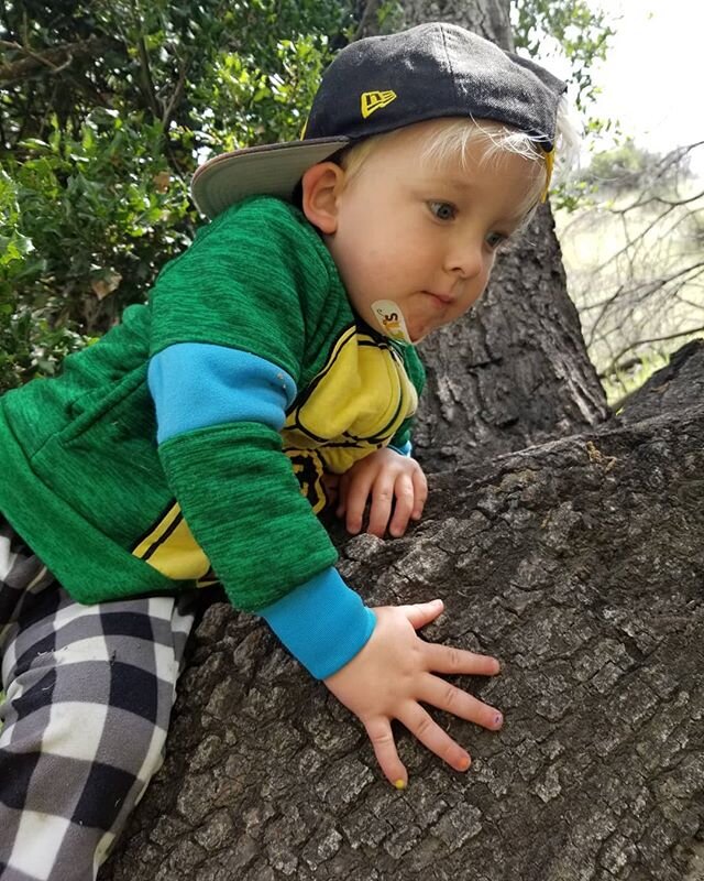 Don't forget to get outside! We have been wearing a mix of pjs and real clothes, what about you?
-
-
-
#alphakids #mamabear #kidsoutside #kidsclimbing #socialdistaning #socialdistancingwithkids #coronaviruswithkids #stayhome  #0424mamas