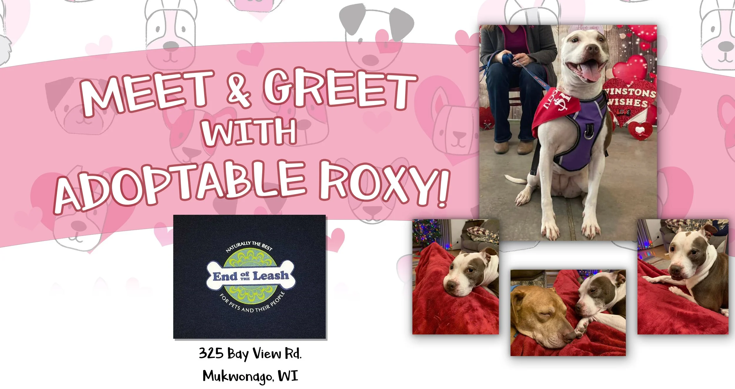 Meet & Greet - Miss Roxy