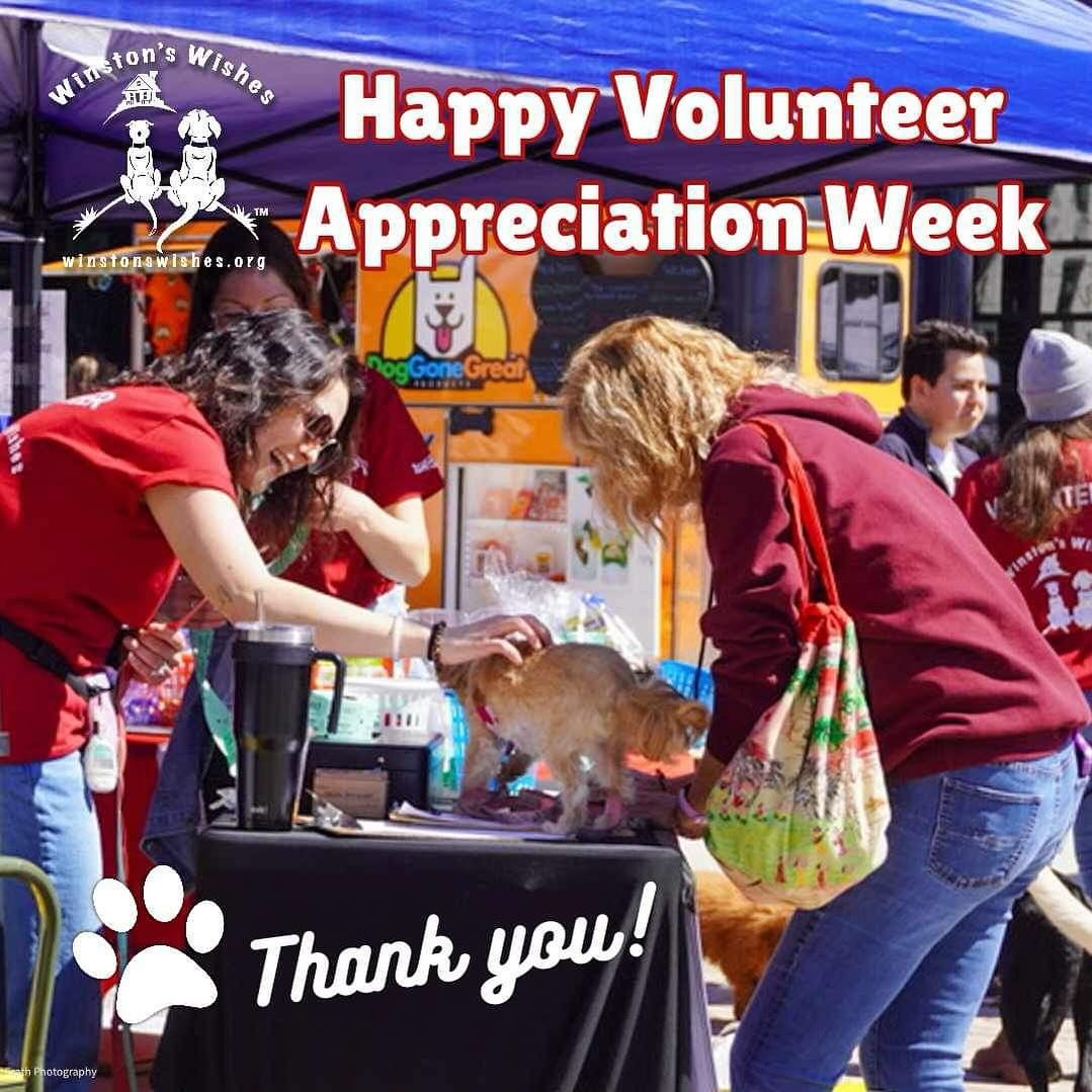 This week is all about shining huge light on the amazing people in red that make events, like Doggy Day at Deer District, such a success! We love our Event Volunteers!🐾

From helping with vendor setup &amp; takedown, spreading awareness about our mi