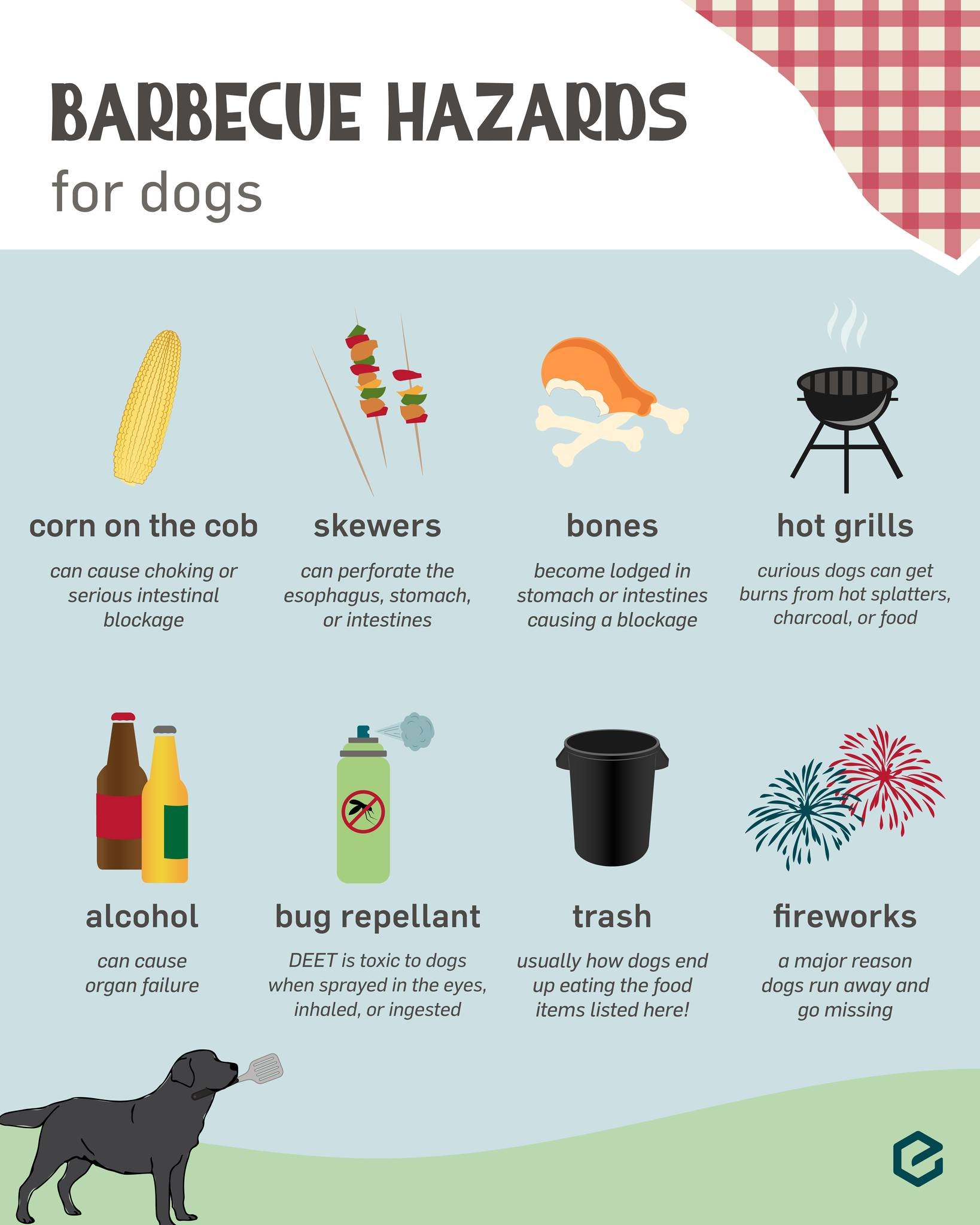 As you gather with family &amp; friends this Summer, keep your furry pals safe with these tips from WVRC (Wisconsin Veterinary Referral Center)! 🐾

From BBQ hazards to hot pavement, ensure your pups stay happy and healthy! 💙

#BBQ #PetSafety #WVRC 