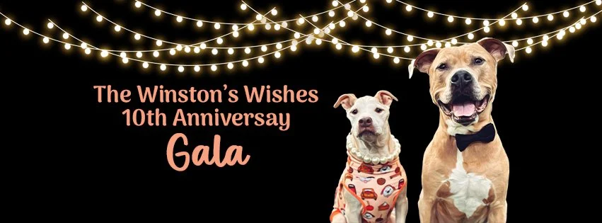 gala website cover.jpg