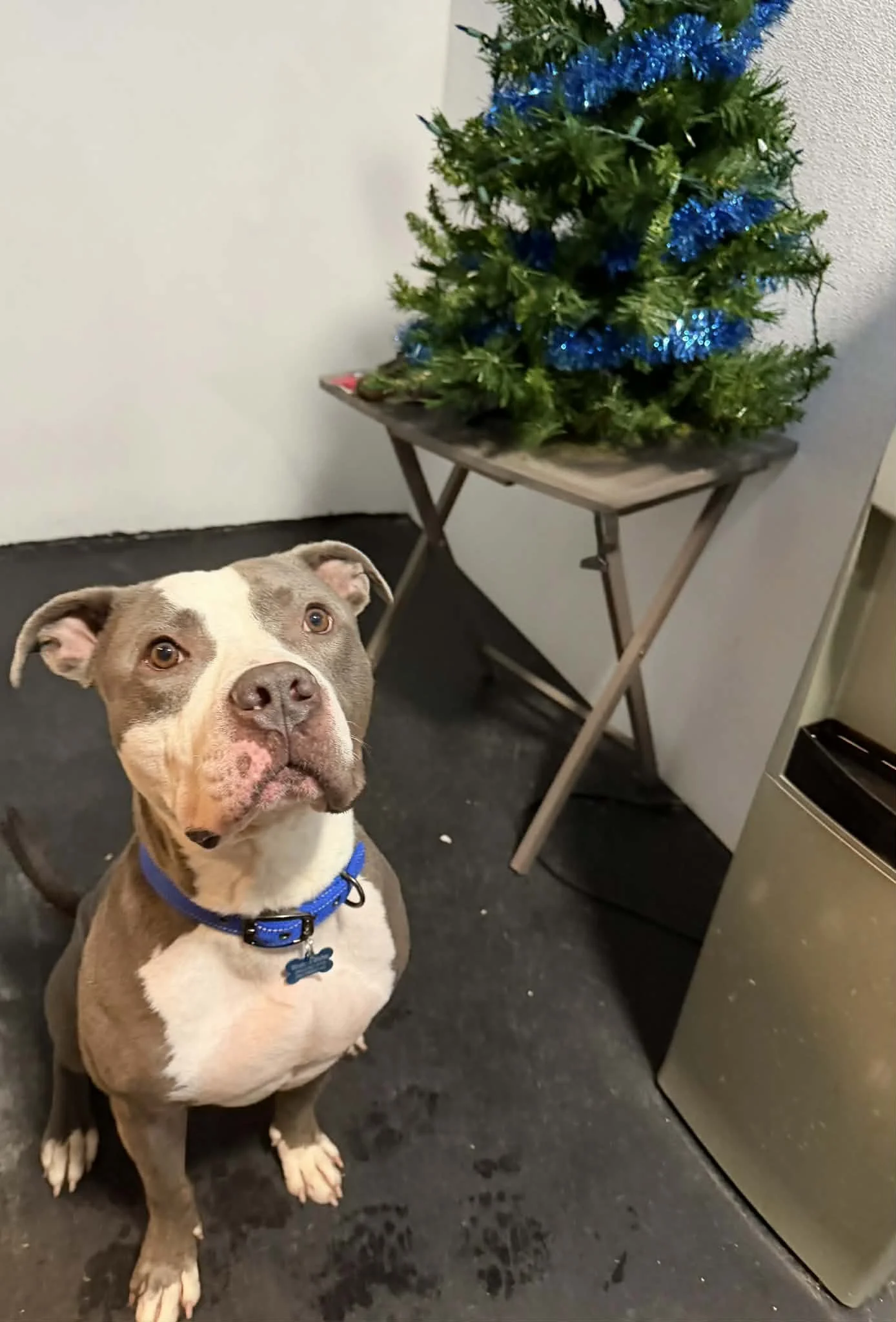 c70b2849-329b-4b1b-9e68-a50cb10fdec5 (1).jpeg