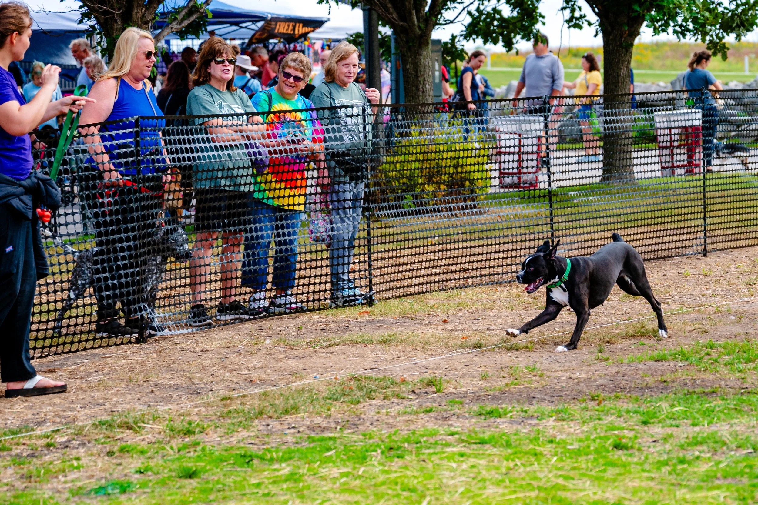 09202025_RP_Pawfest-5.jpg