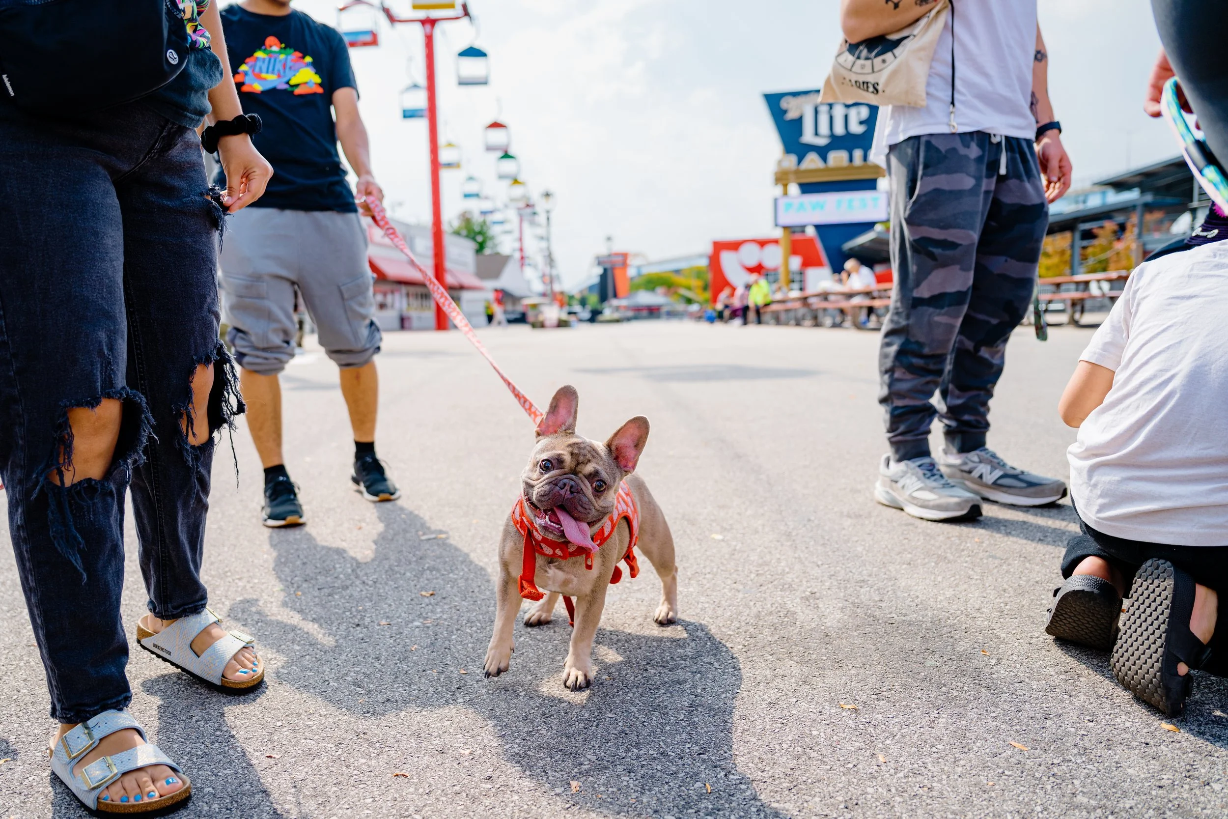 09202025_RP_Pawfest-15.jpg