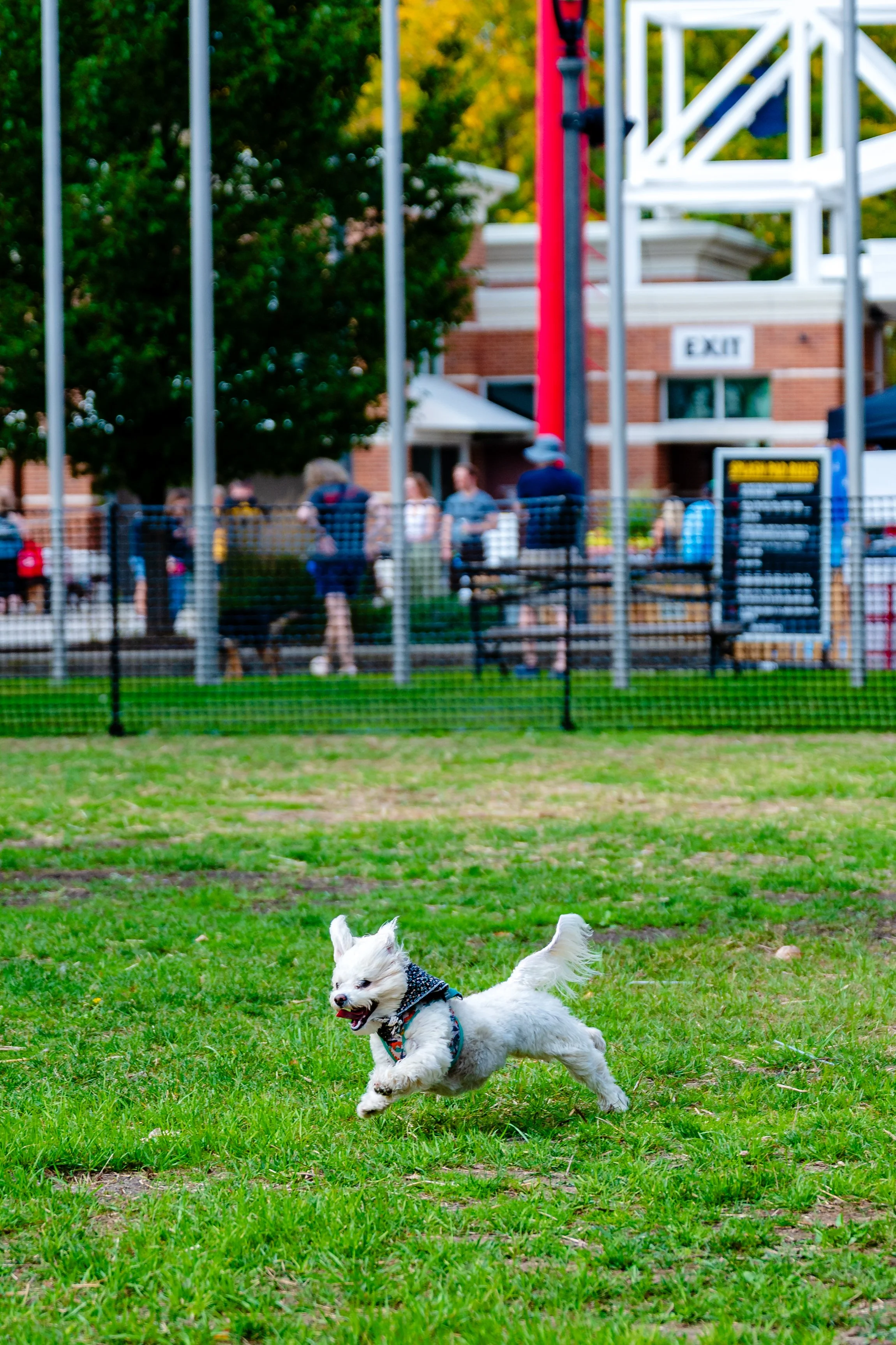 09202025_RP_Pawfest-22.jpg