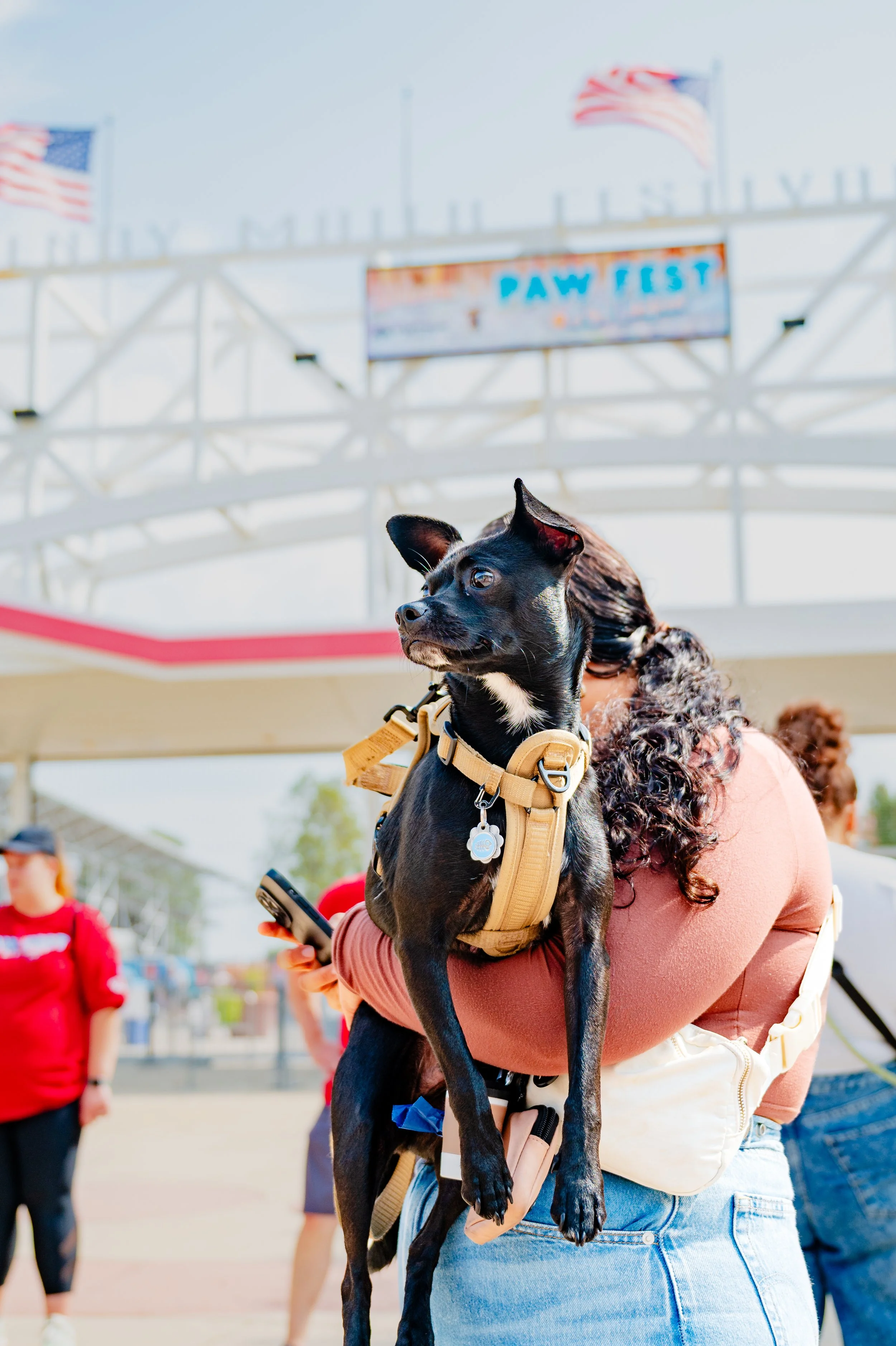09202025_RP_Pawfest-23.jpg