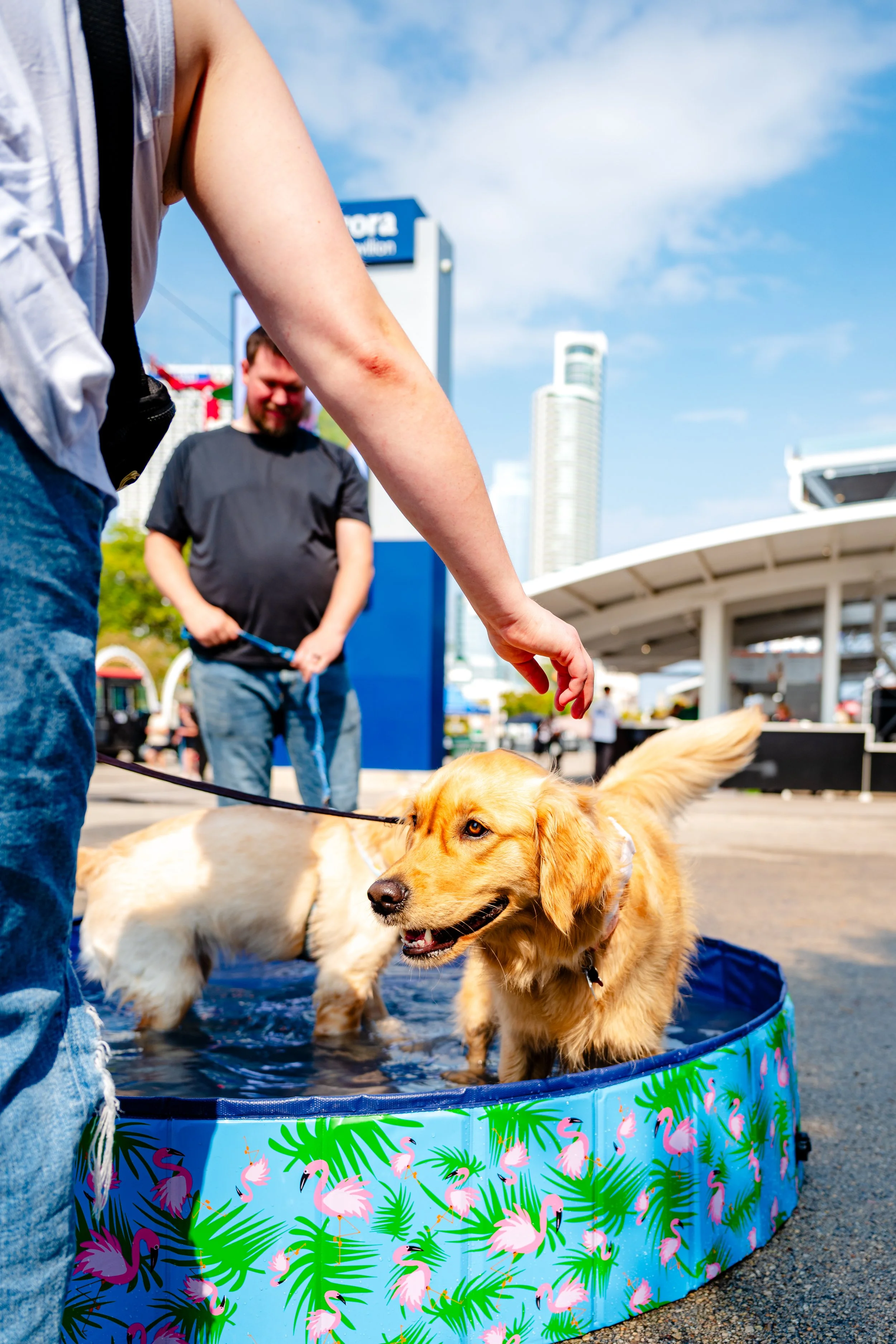 09202025_RP_Pawfest-27.jpg