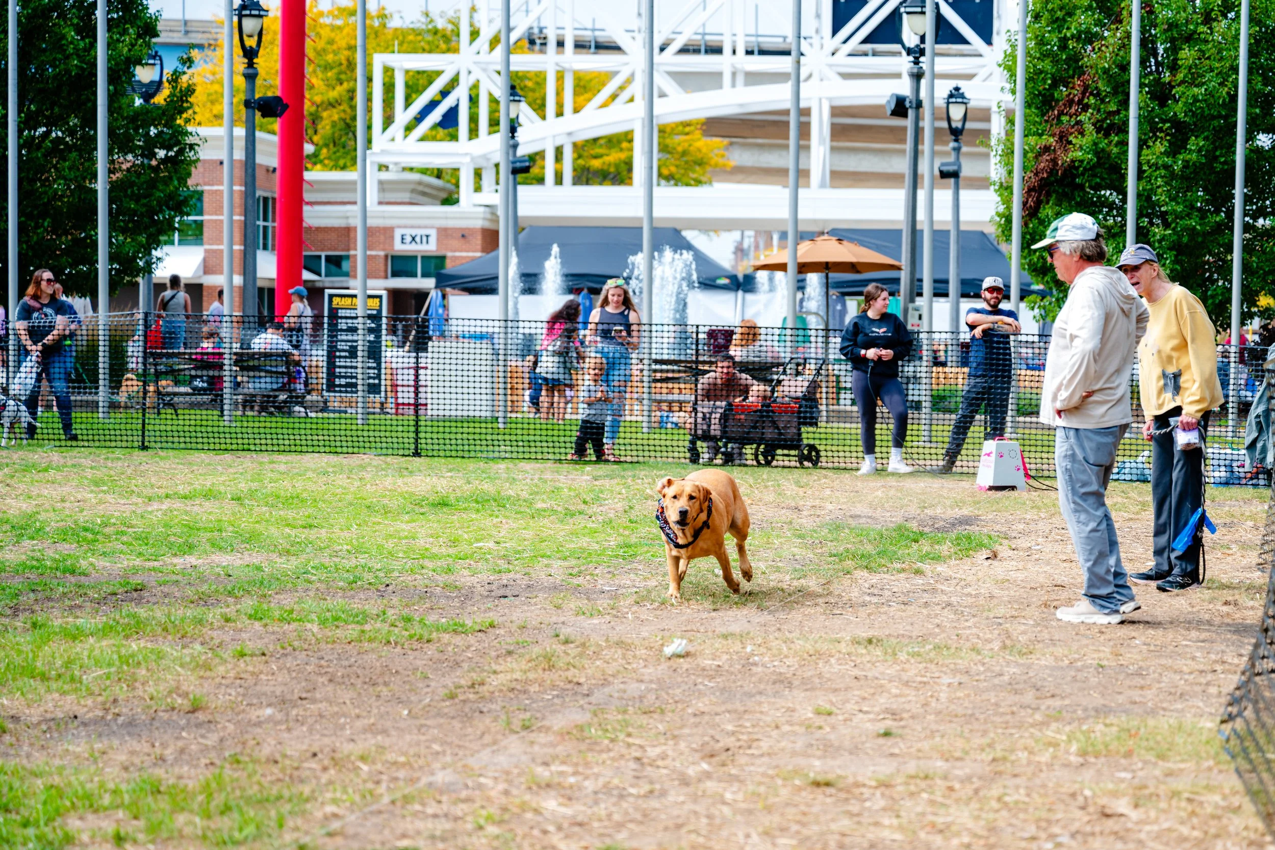 09202025_RP_Pawfest-46.jpg