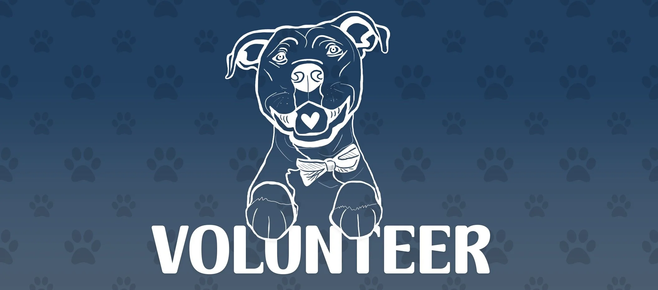 website covers volunteer.jpg