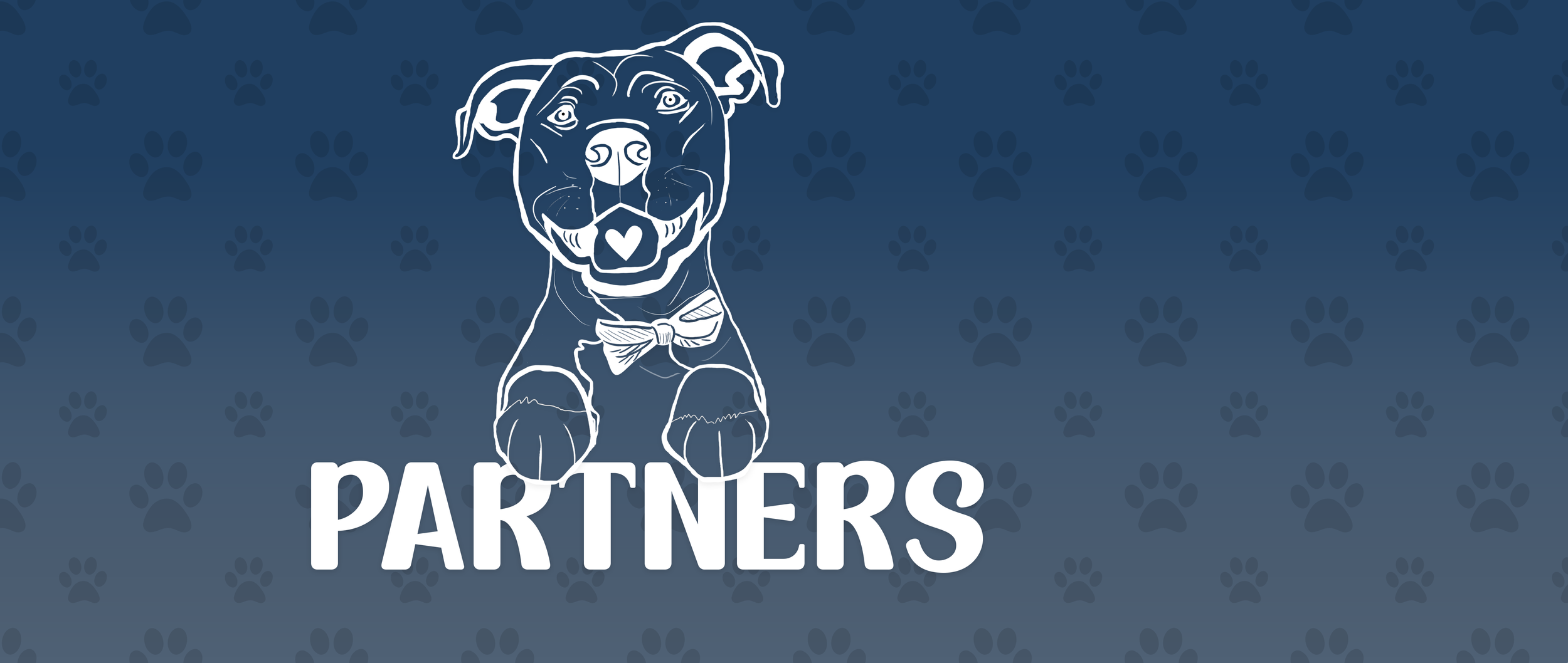 website covers partners.png