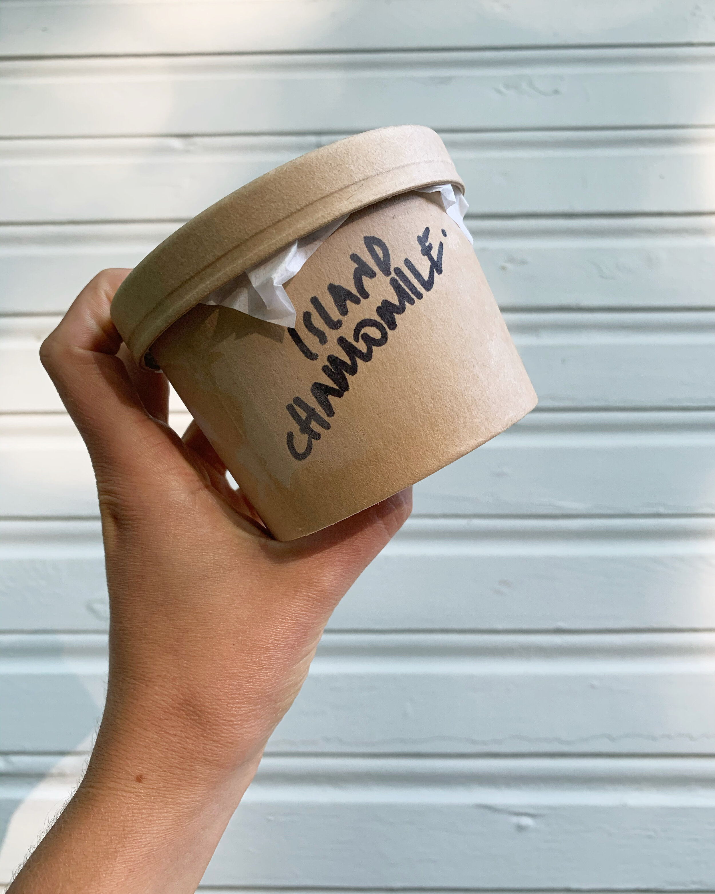 Island Chamomile Ice Cream- 12 oz