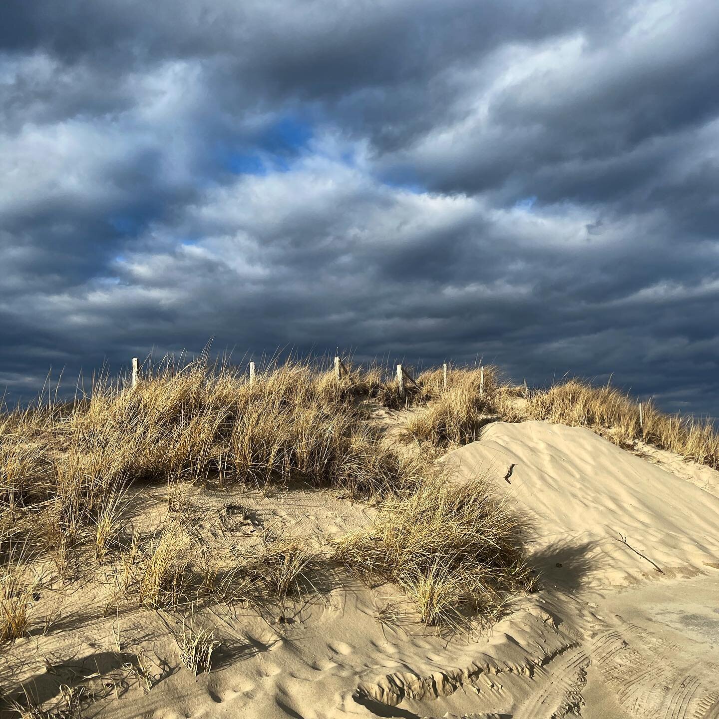 Off Season Splendor #capecod