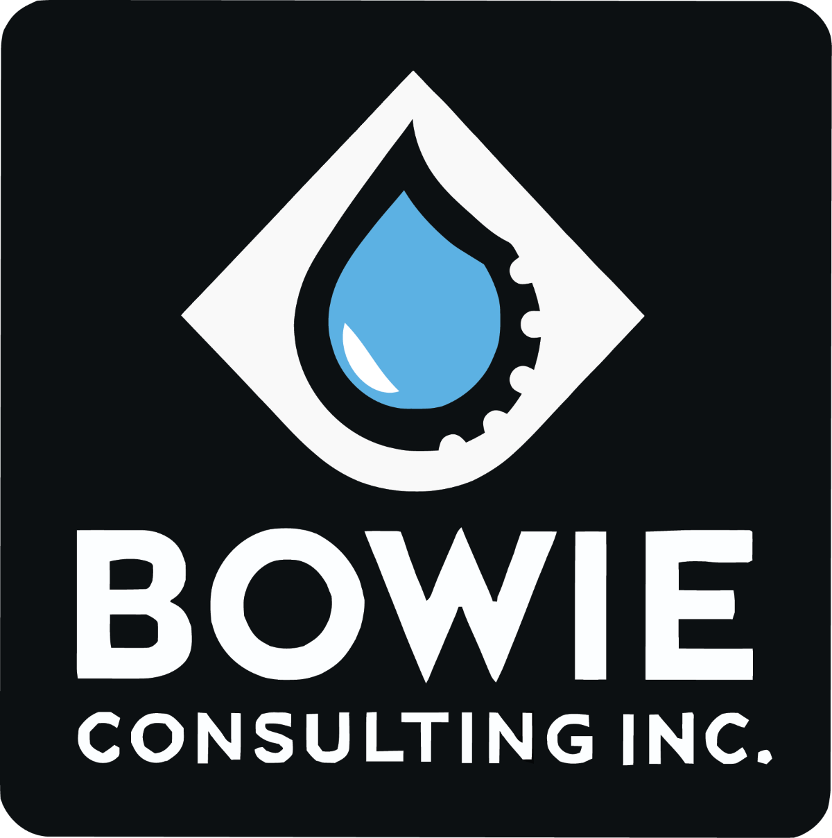 Bowie Consulting - Sponsor 1200.png