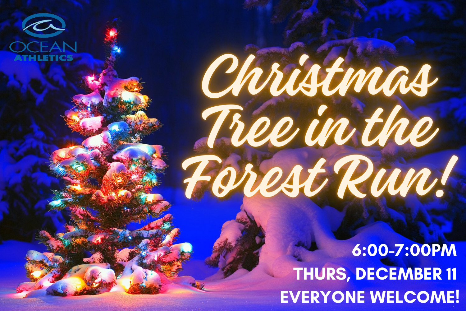 _Christmas Tree Run 2025.png