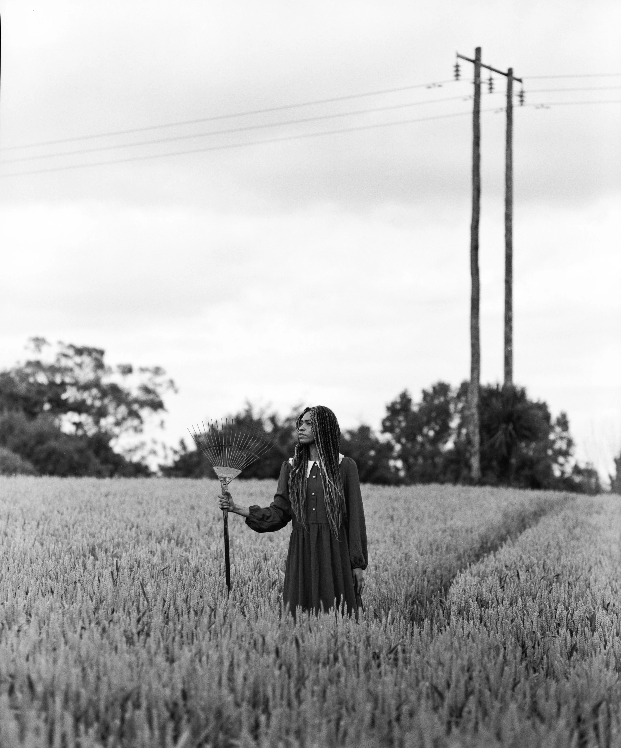 Work 2 - A irmã.jpg