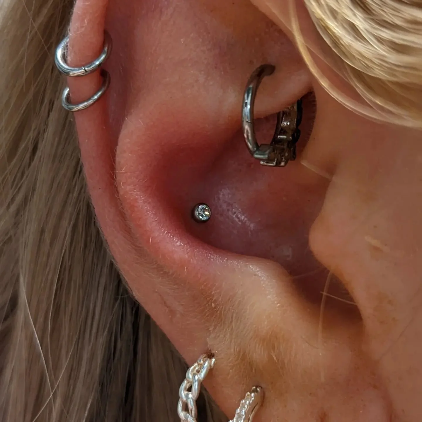 Conch from yesterday! 🥰