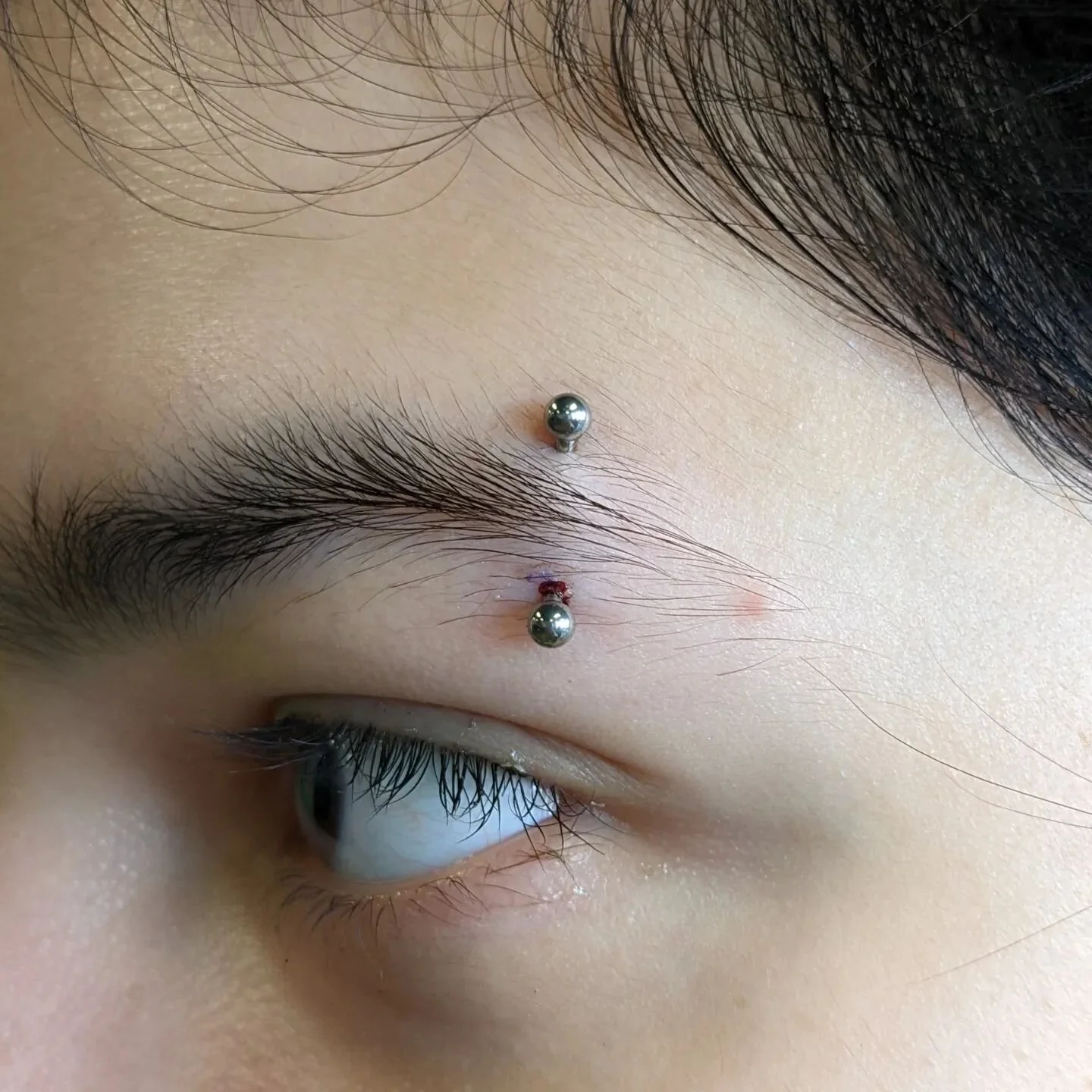 My first eyebrow piercing and a beautiful conch on this amazing lady from today!