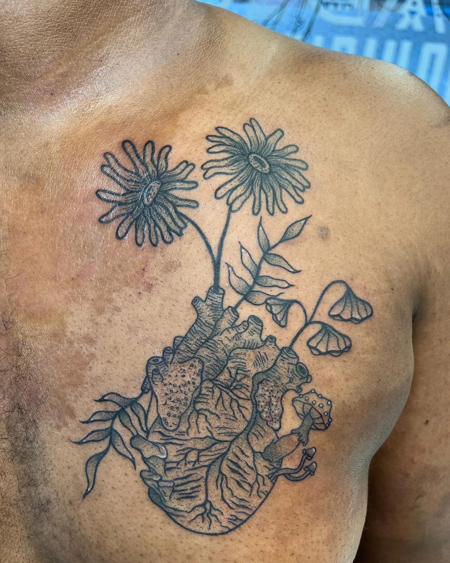 Artist Steph — Oak and Ember Tattoo