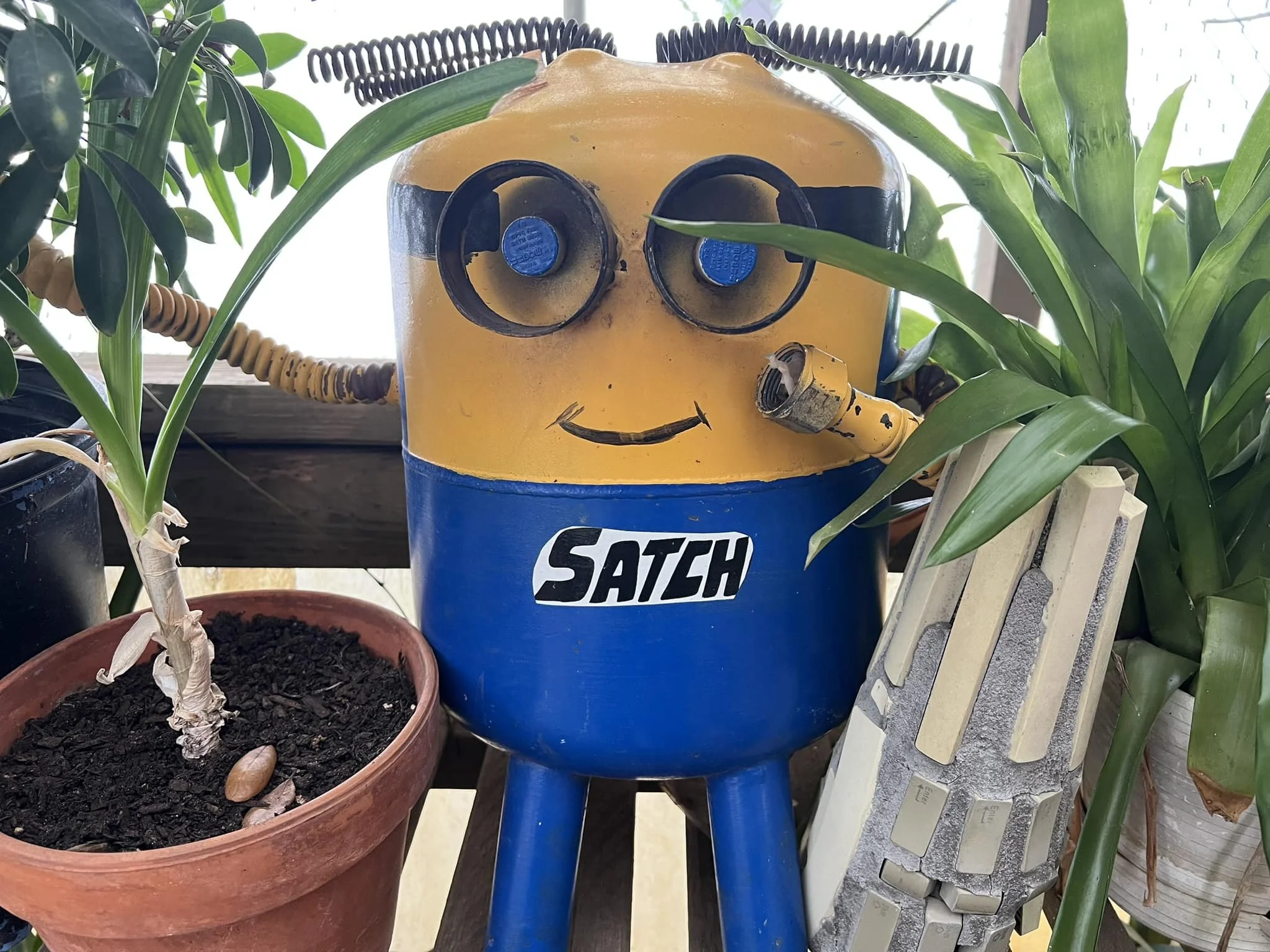 Bello to everyone in the Gainesville area! Satch says you should come to the show...Be Fabor! 
#Theminionlanguage #livemusicgainesville #satchelspizza