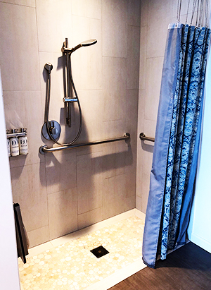 accessible shower with no barrier