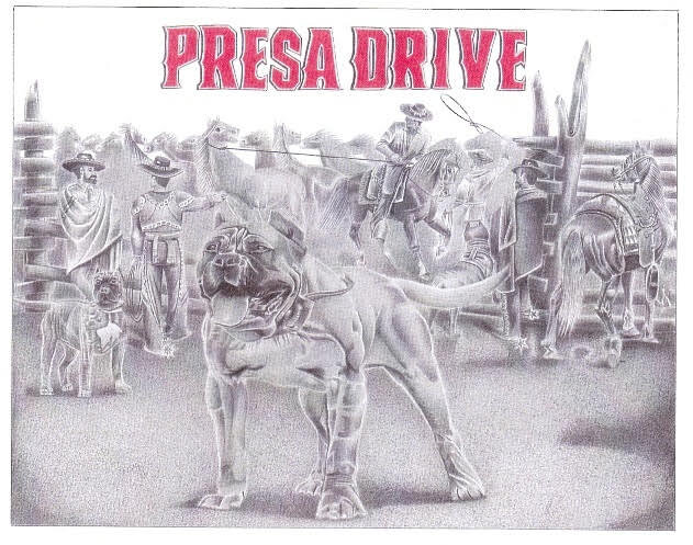 Presa Drive