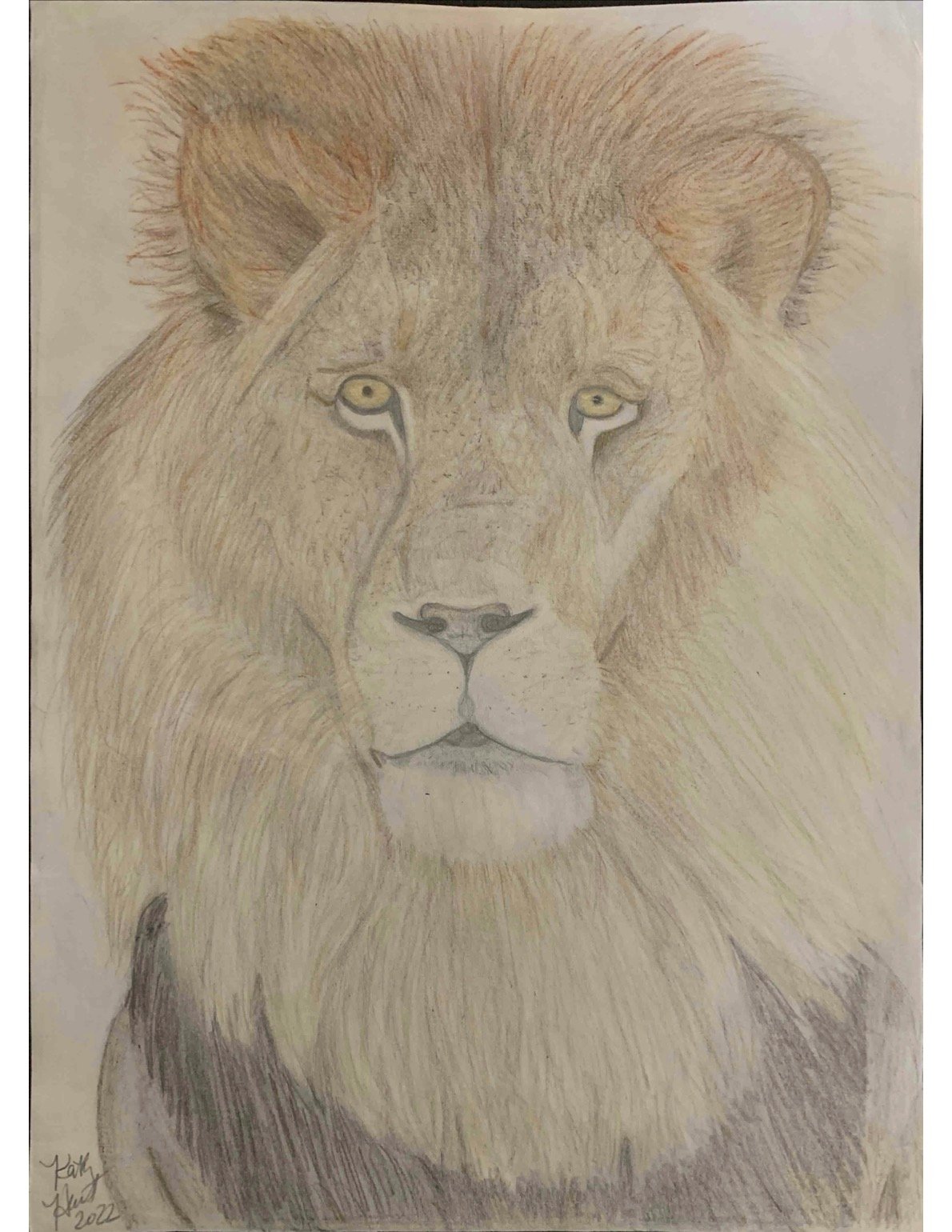 Lion