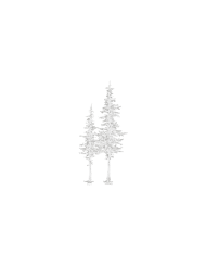 Raelee-Marie_Brand-Elements_Trees_White_scaled.png