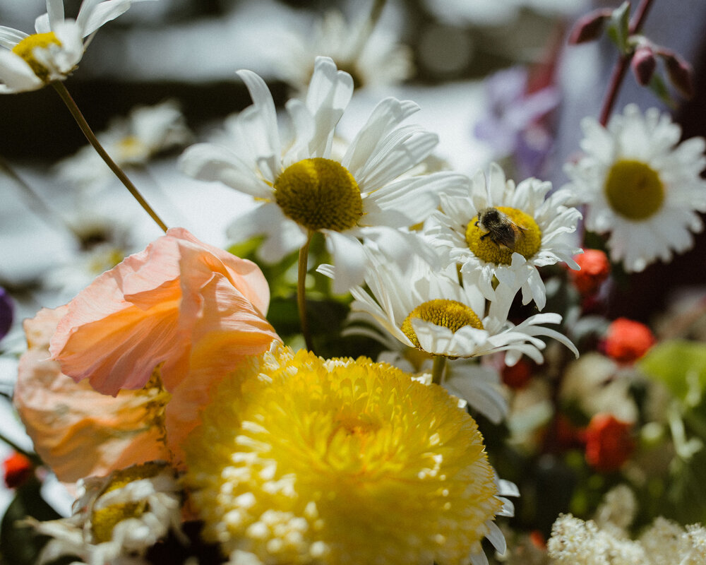 Mt_Baker_elopement_66.jpg