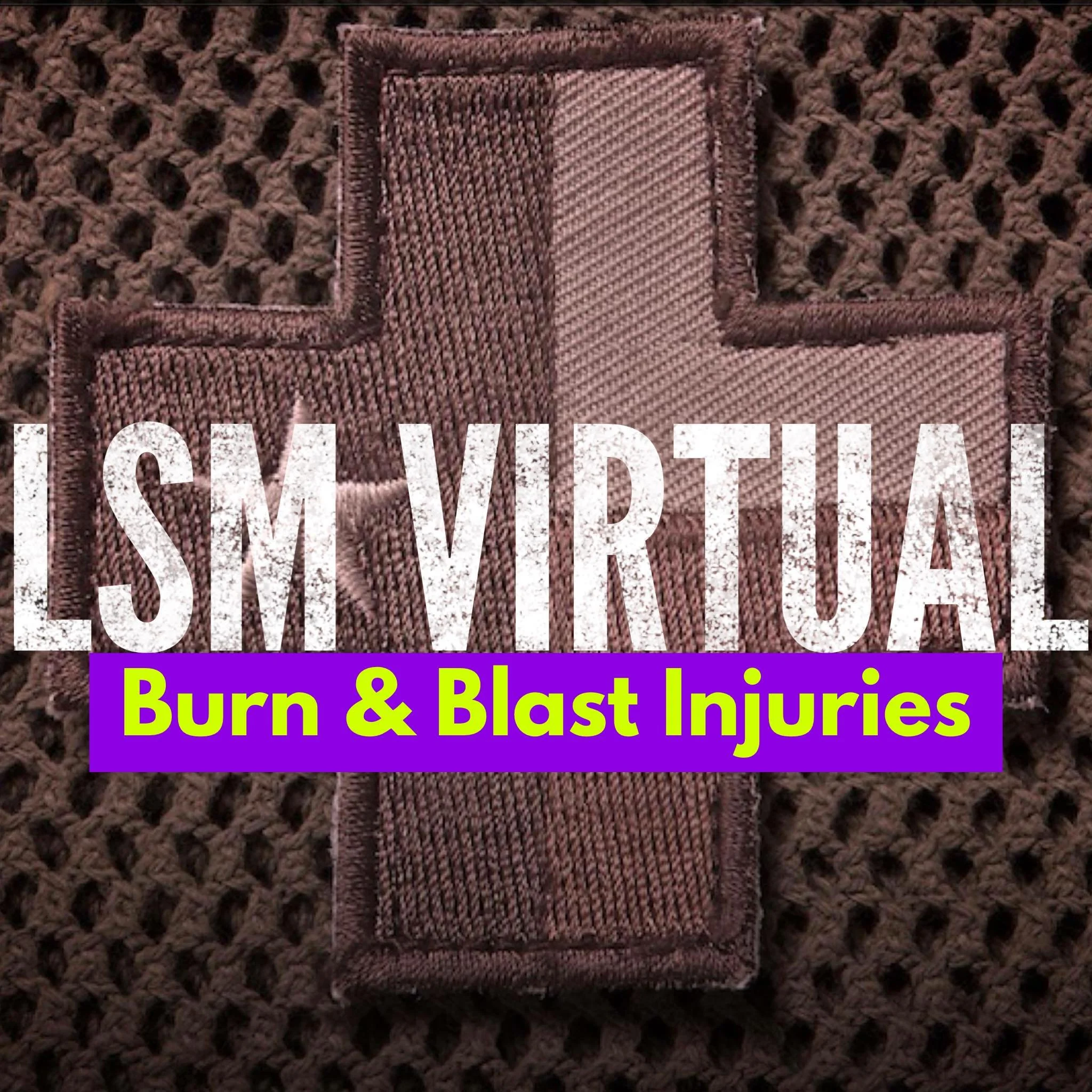 LSM Virtual burn.jpg