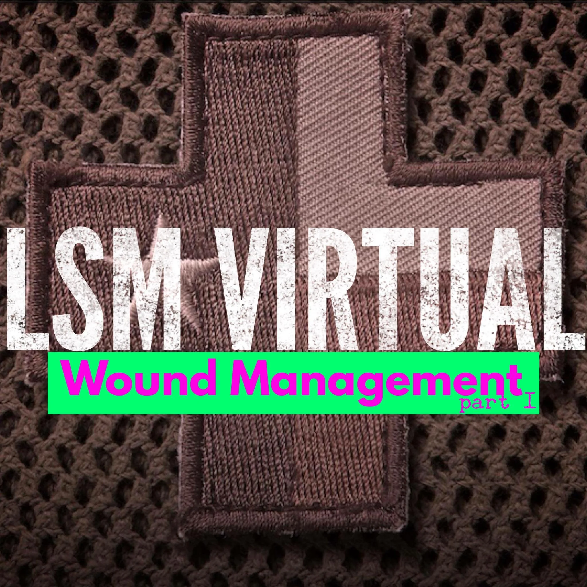 LSM Virtual clean.jpg