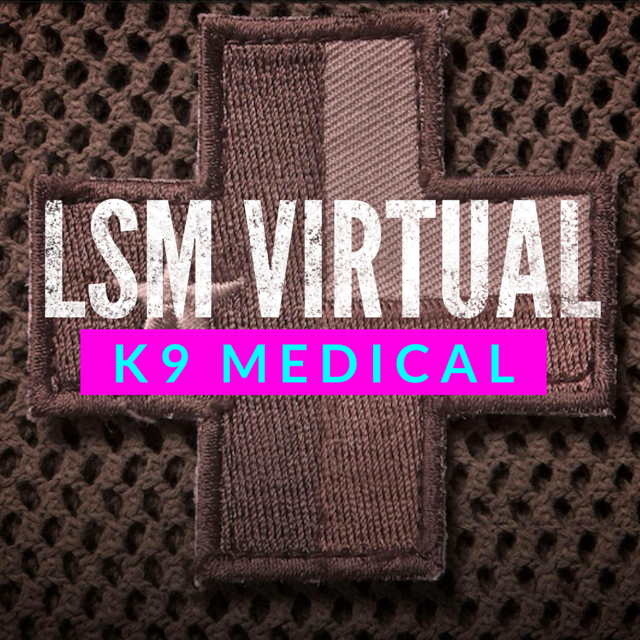 LSM virtual k9.png