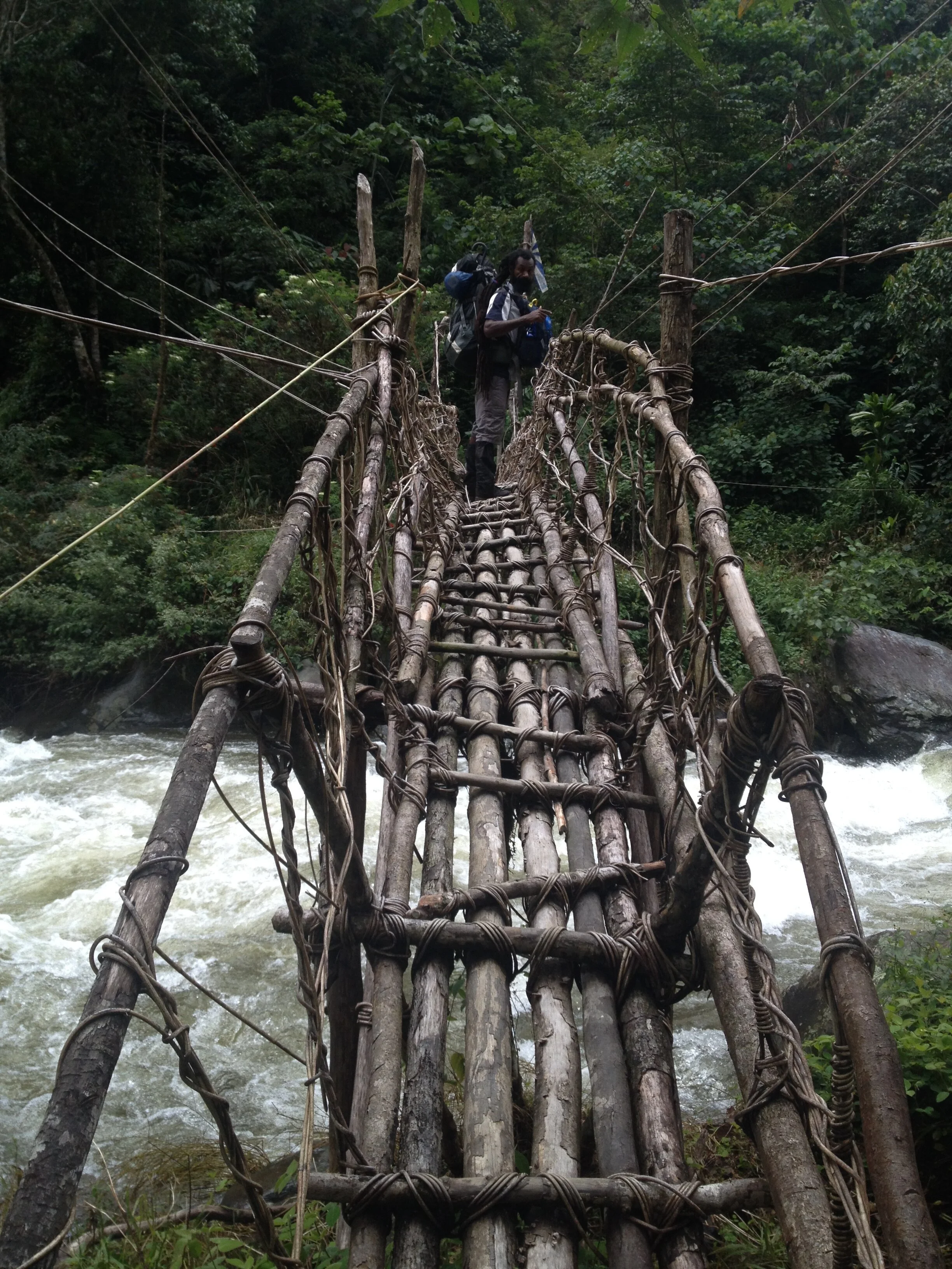 Crossing a Jungle Suspension Bridge