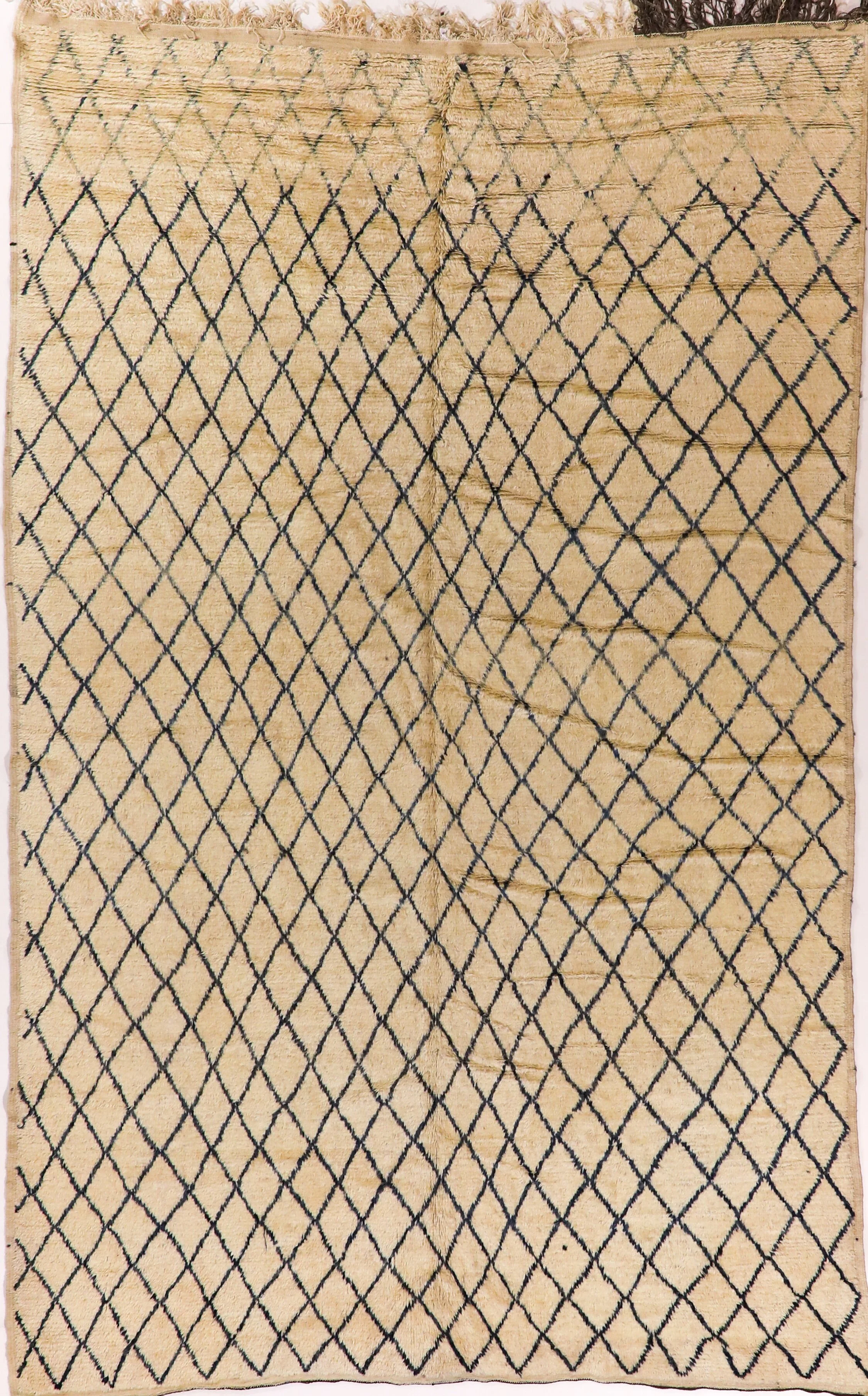 Berber Contemporary Rug 1000186