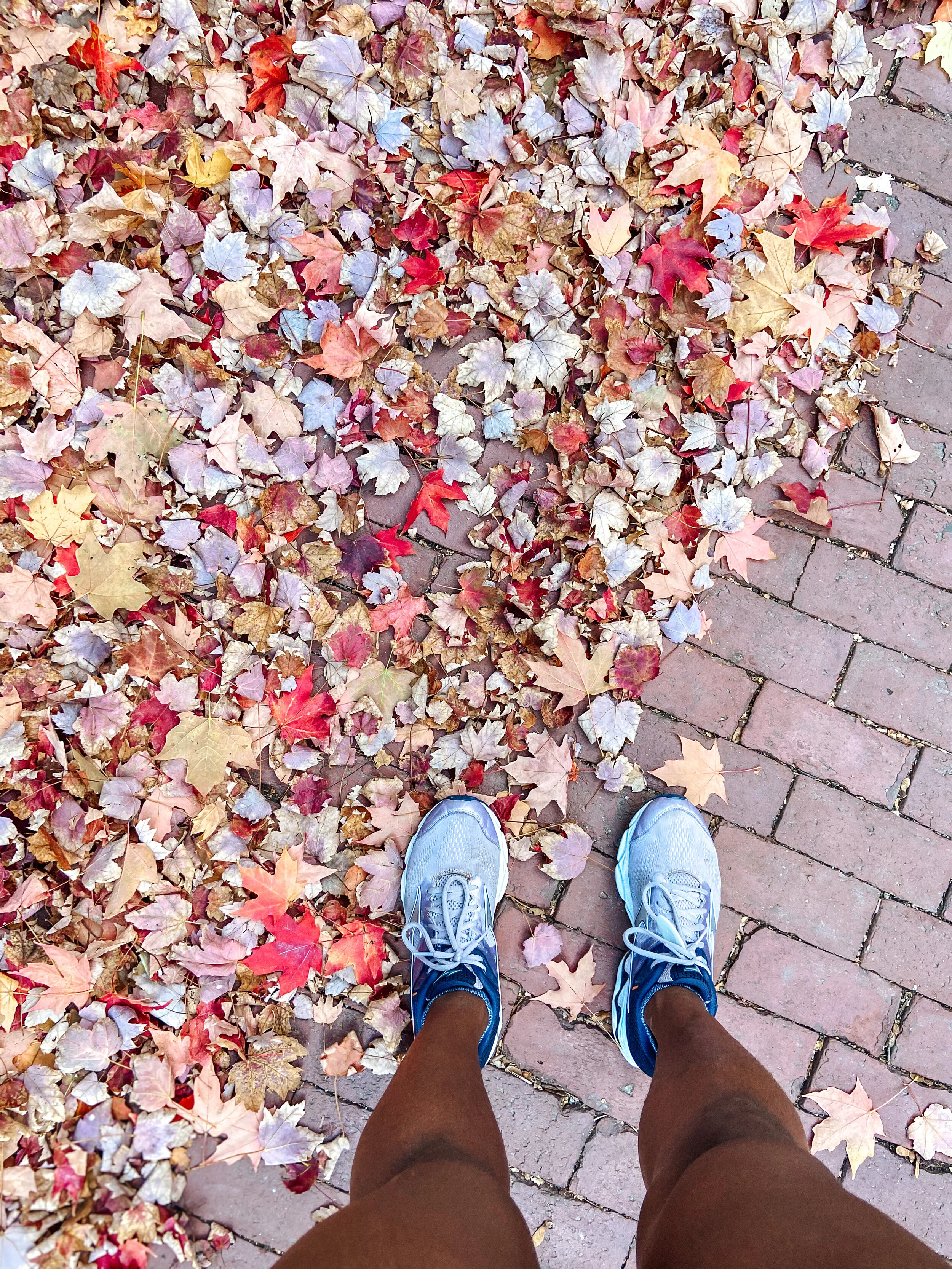 A Letter to Fall Running...
