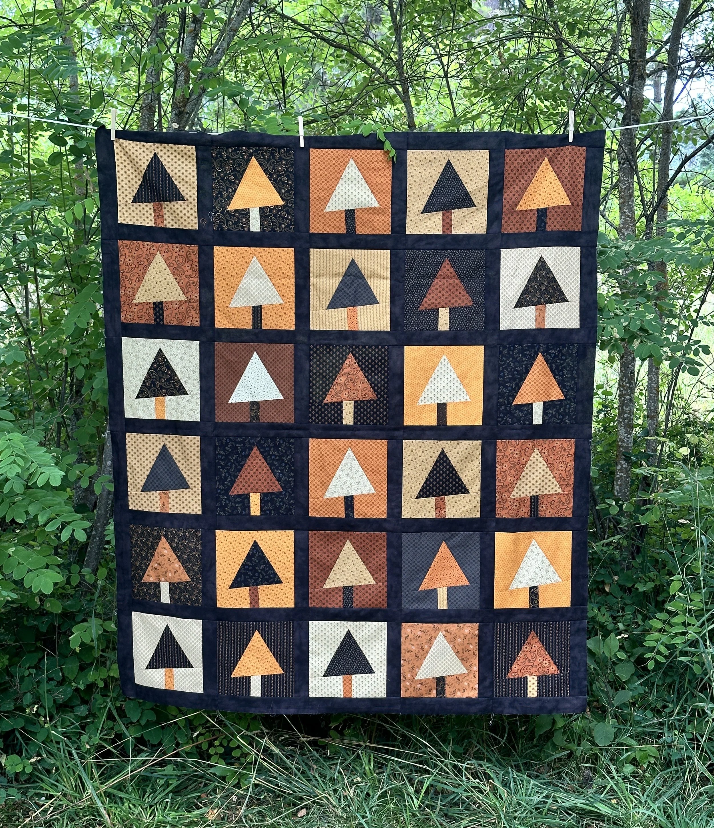 Trees for Sale - Fall