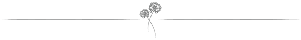 Dandelion Paragraph Divider copy.png