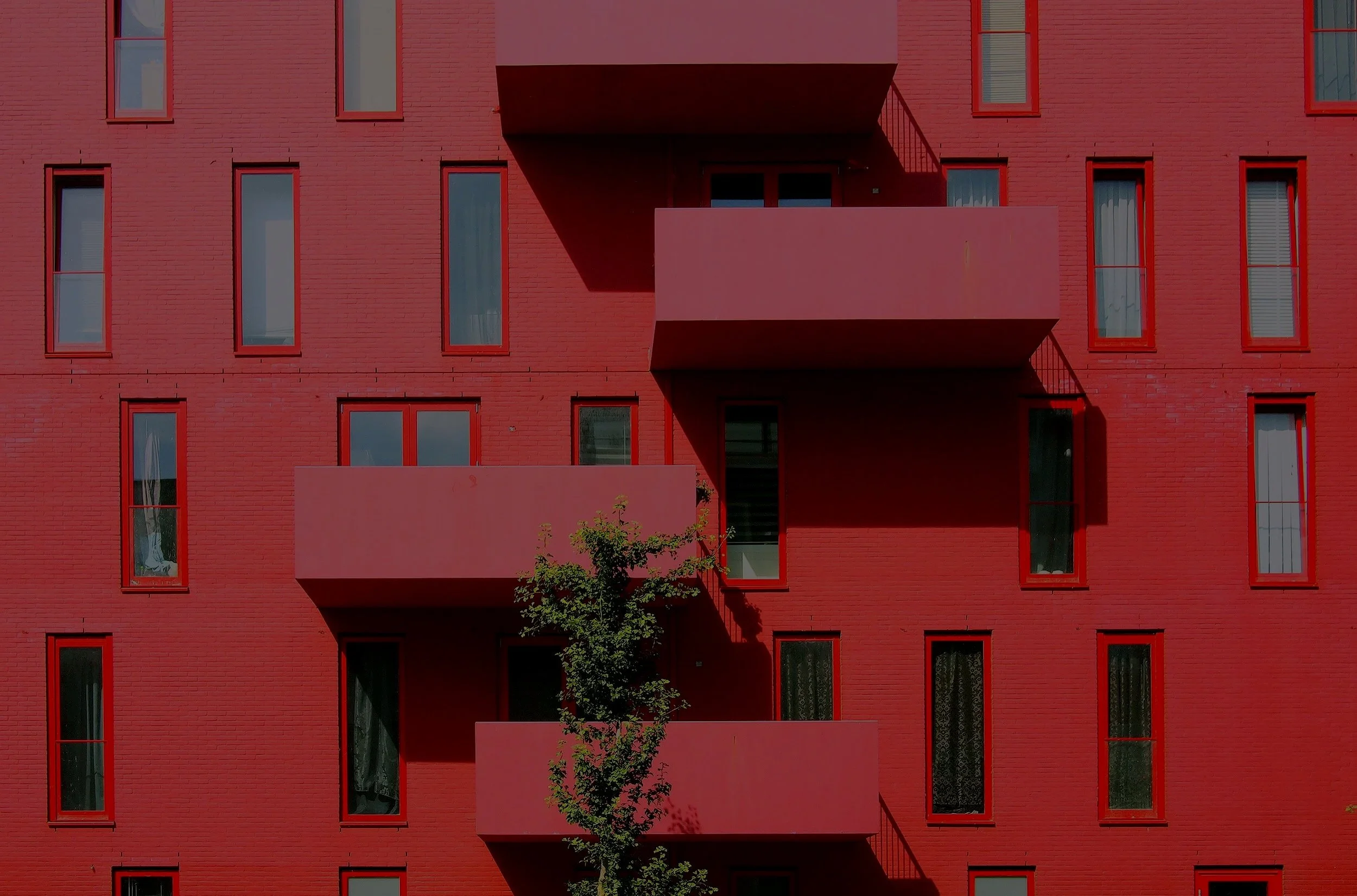 image-asset.jpg
