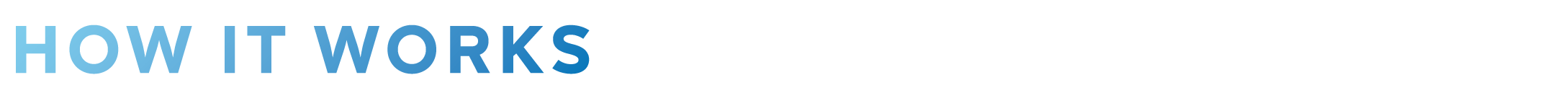 Asset 109@3x.png