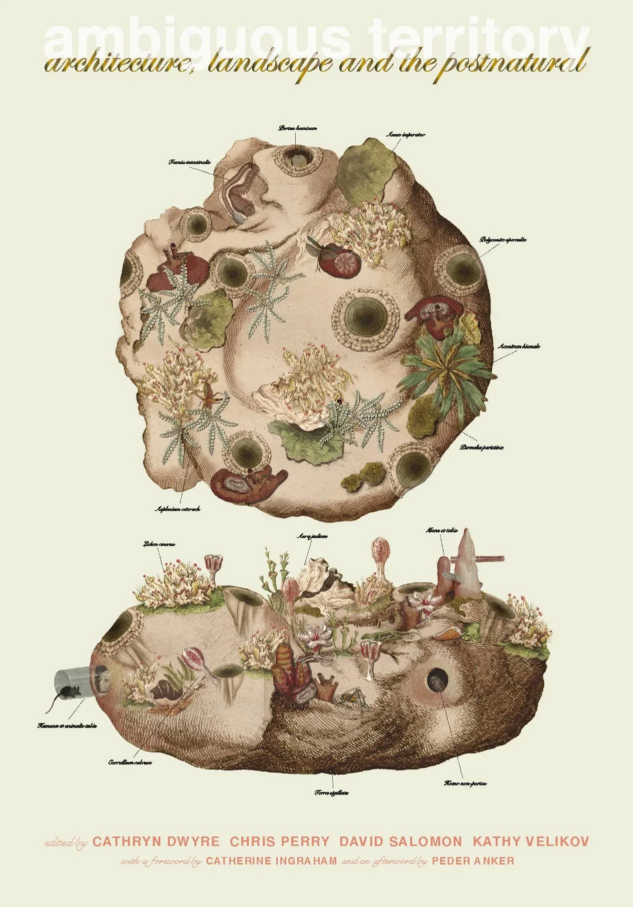 2022 Ambiguous Territory: Architecture, Landscape and the Postnatural