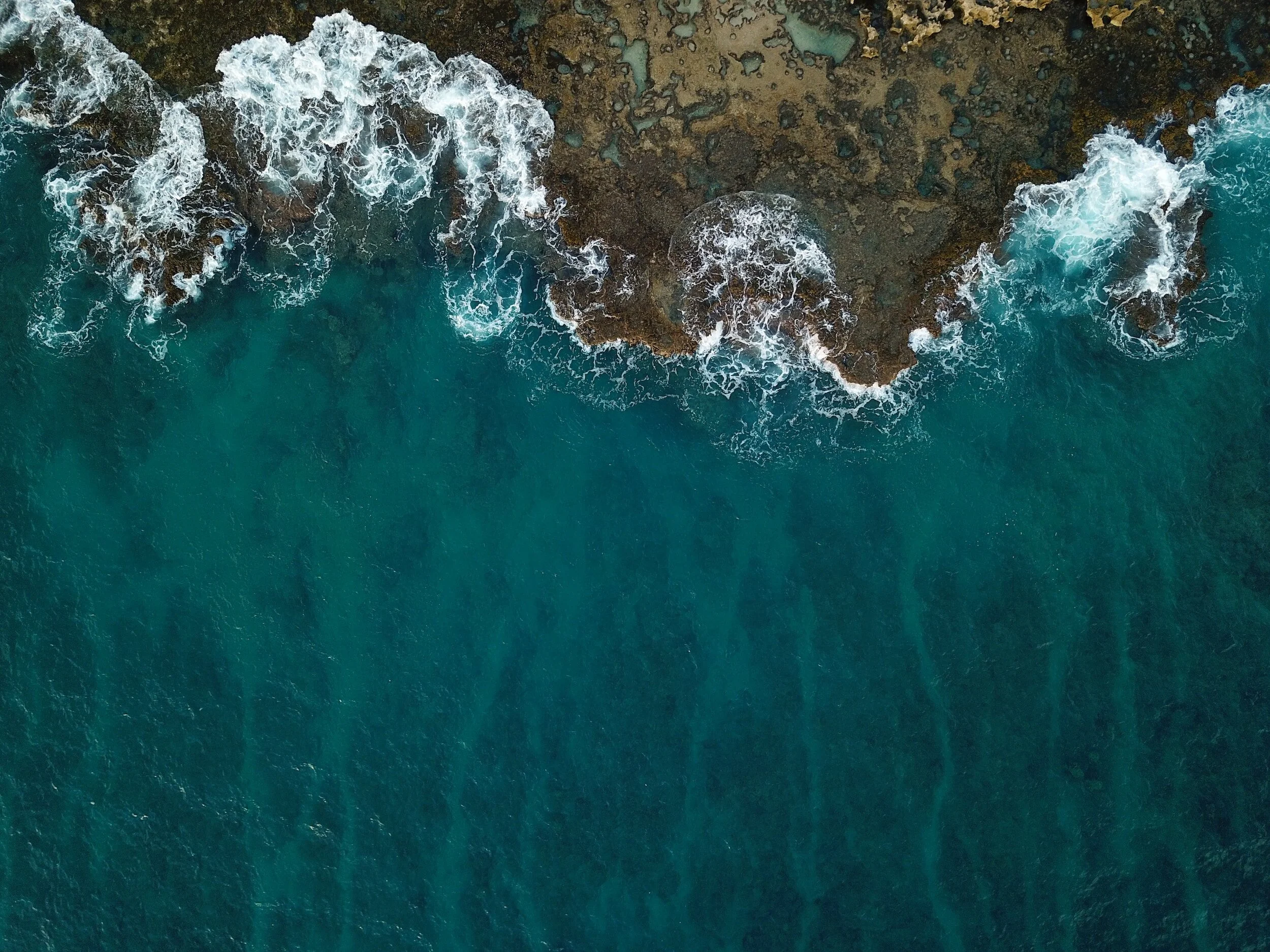 Flip The Script: The Art of Forgiveness
