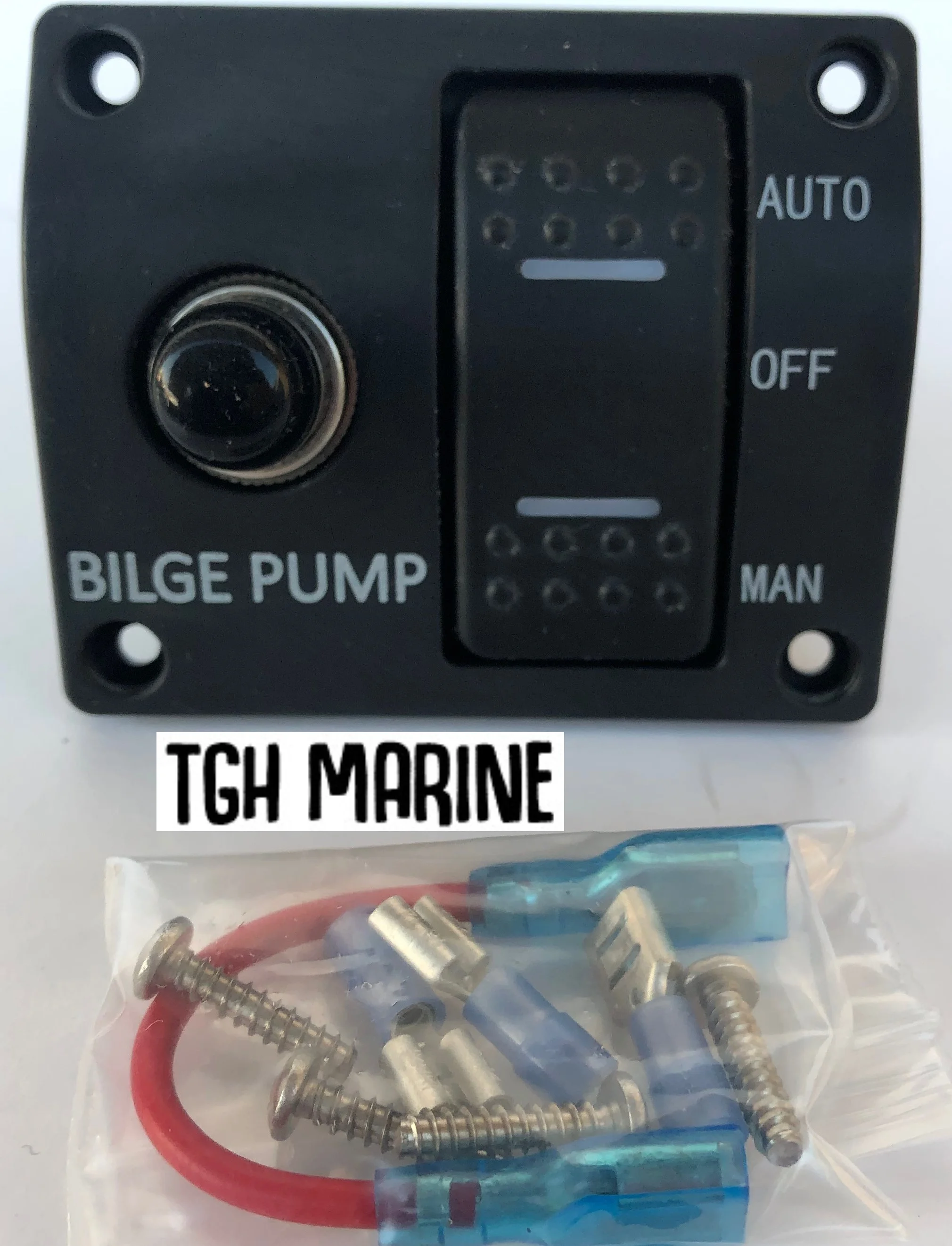 Bilge pump switch