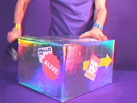 giphy (2).gif