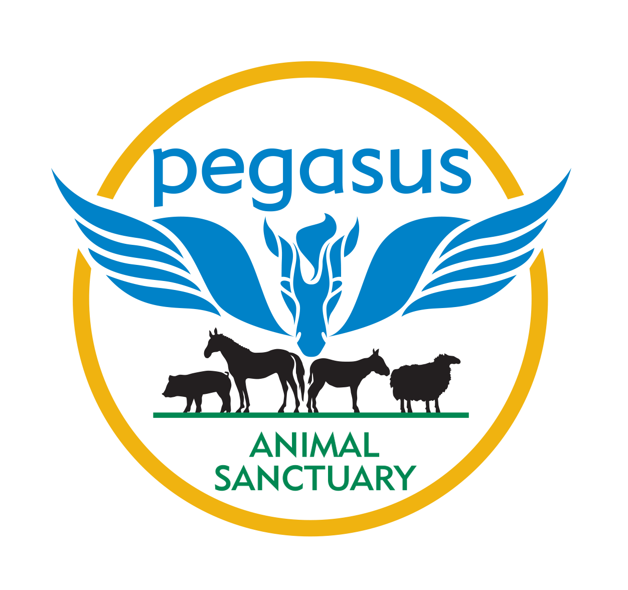 PAS Coloured logo only.png